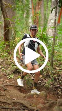 BIB:  <button type="button" onclick="openModal(27582843)" class="btn btn-primary btn-sm float-right" data-toggle="modal" data-target=".modal-high-quality">
                <i class="fa fa-download"></i> Download
                </button>